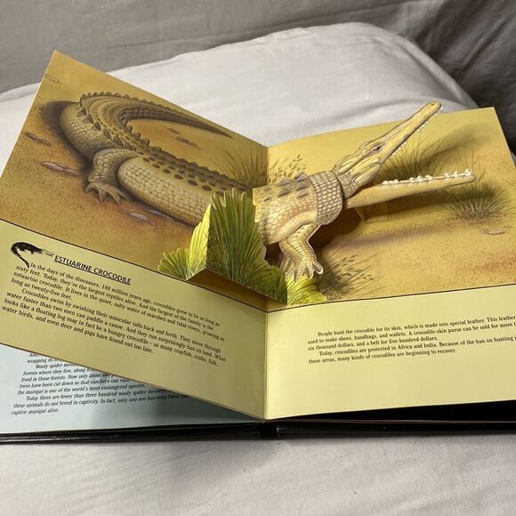 Vintage Animals in Danger Pop-up Book - Hardcover By William McCay. Like New‎ - Picture 5 of 6